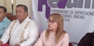 Marcelistas desmienten a Antonio Luna y rechazan unirse a Sheinbaum.