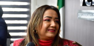 Suman cinco quejas contra actores políticos de Morena por su proceso interno: Marisol Delgadillo