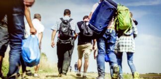 México se está convirtiendo en país de destino de migrantes, señala estudio del IBD.