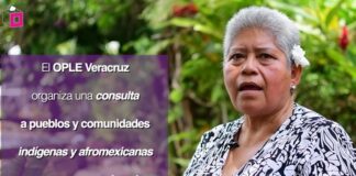 Consulta a los Pueblos Indígenas del Ople Veracruz