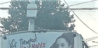 Violatoria la publicidad en camiones y taxis .