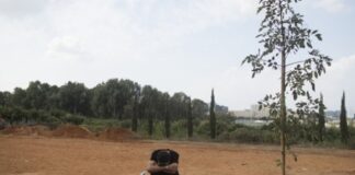 Grupos armados palestinos deben rendir cuentas por los asesinatos, secuestros y ataques indiscriminados cometidos contra civiles en Israel : AI