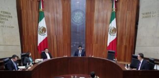 Tribunal vulnera derechos de mujeres; permitirá registro de agresores en reelección .