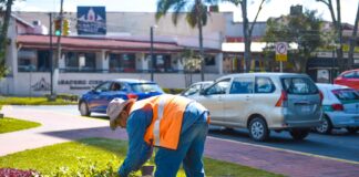 Conservar la buena imagen urbana, trabajo permanente del Ayuntamiento de Xalapa.