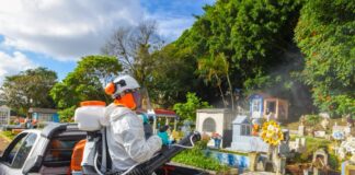 Realiza Ayuntamiento de Xalapa fumigación en el panteón Palo Verde