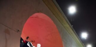 Domingo de actividades por Día de Muertos