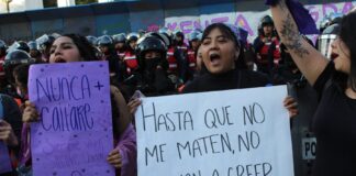 Prohibirán a autoridades revictimizar a mujeres que presenten denuncias .