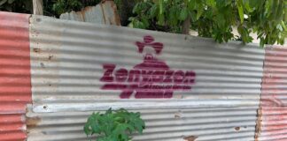 Amanece Veracruz Puerto con bardas en apoyo a Zenyazen