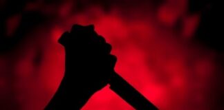 AMLO asesina a Morena