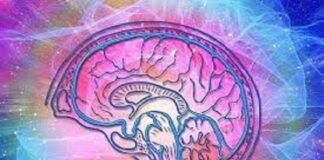 ¿Eres altamente sensible? Quizás seas un o una PAS y no lo sabes