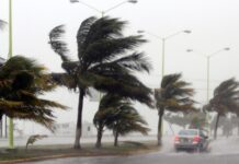 Frente frío 11 provoca heladas, lluvias intensas y evento de “Norte” en varias regiones del país .
