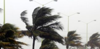 Seguirán las bajas temperatura y Norte en Veracruz por Frente Frío 21.