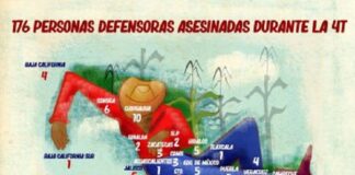 200 atentados a la vida contra personas defensoras durante sexenio de AMLO en México: EDUCA