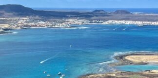 Suspenden actividad turística en Isla Lobos por ave con posible gripe aviar.