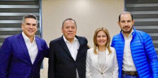 Senadora Lucía Meza deja Morena y se pasa al FAM