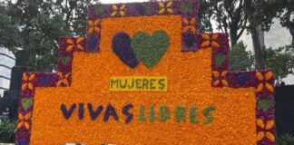 Los altares para ellas, ofrendas que exigen verdad y justicia . #3deNoviembre #DíaDeMuertas
