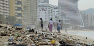 No tienen madre en el gobiernito de AMLO .