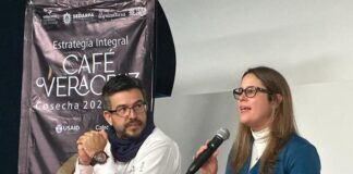 El café de Veracruz debe apostar a la calidad y mejor comercialización .