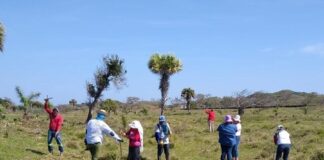 Nosotros damos mejores resultados buscando personas desaparecidas que FGE Veracruz: Colectivo Solecito