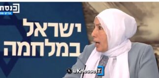 Diputada árabe israelí pone en duda que Hamás masacrara bebés y violara mujeres .