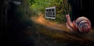 EZLN desaparece municipios autónomos y Juntas de Buen Gobierno.