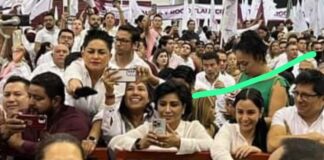 Las precandidatas de Morena al Senado .