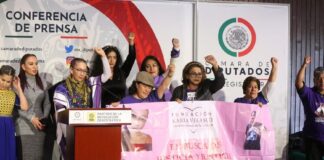 Número de feminicidios debe ser mayor al que se informa: Diputadas