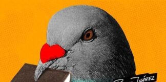 La literatura veracruzana, protagonista de la Feria Xalapeña del Libro 2023.