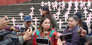 Cerca de mil muertes violentas de mujeres en cinco años y continúan sin estrategias en Veracruz: Myriam Lagunes .