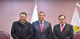 Veracruz, líder nacional en producción agrícola: Sedarpa