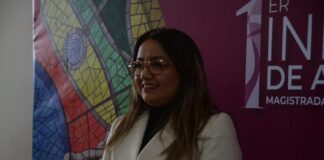 Suman 20 quejas por violencia política en razón de género en el OPLE Veracruz