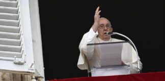 Gaza: ¡Que las armas se detengan, no traerán nunca la paz..¡Basta hermanos!: Papa Francisco