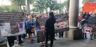 Se quejan vecinos y alumnado de telesecundaria por criaderos de cerdos.#Xalapa