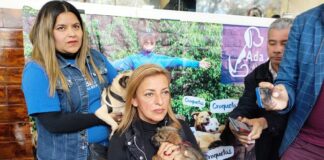 El albergue “Ada Azul” en riesgo de ser cerrado por falta de apoyo .