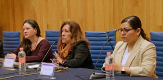 Lograr sociedades libres de violencia implica empezar por cada persona .