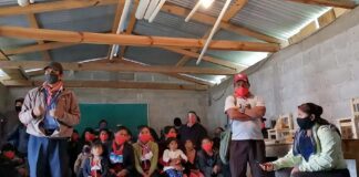 Caravana nacional e internacional exige seguridad en próxima visita a territorio zapatista.