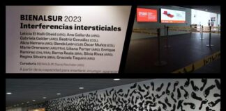 Llega Argentina al Centre Pompidou de Málaga con “Interferencias intersticiales”