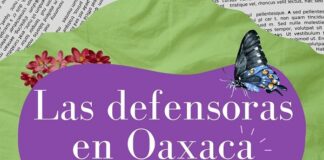 Arranca campaña internacional: “Las Defensoras en Oaxaca – Luchas Diversas, Sueños Colectivos