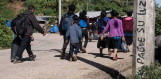 Denuncian aumento de violencia en comunidades indígenas y afromexicanas ante periodo electoral