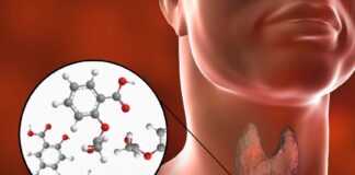 Alerta IMSS Veracruz Norte sobre disruptores hormonales