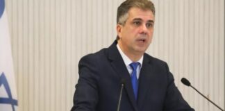 Canciller de Israel pide renuncia de la titular de ONU Mujeres .