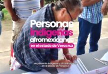 Invitan a Foro de Resultados de Consulta a personas Indígenas y Afromexicanas