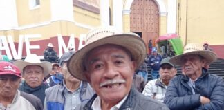 Cafetaleros de Veracruz sin condiciones económicas necesarias para mantener los cafetales