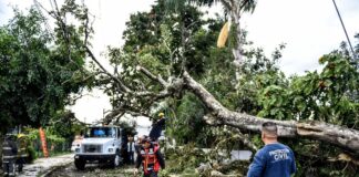 Atiende Ayuntamiento de Xalapa emergencias por Frente Frío Numero 16 .