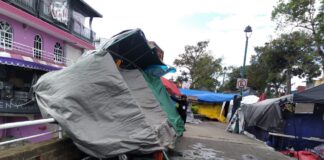 Afectaciones del Frente Frío número 16 dejaron 35 árboles caídos y dos postes de servicios de telefonía e internet: