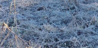 Veracruz reporta 9 municipios con heladas este lunes