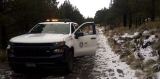 Reportan caída de Nieve en el parque nacional de Perote.