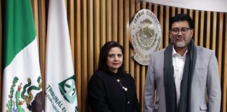 TEPJF: Mónica Soto, elegida sin unanimidad para ocupar el lugar de Reyes Rodríguez