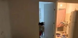 Resguarda DIF a niños abandonados que buscaban cocinar a su gato para comer #Veracruz