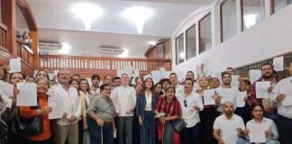 METAMORFOSIS DE INSECTOS SALTARINES; APARECEN EN LAS CAMPAÑAS POLÍTICAS